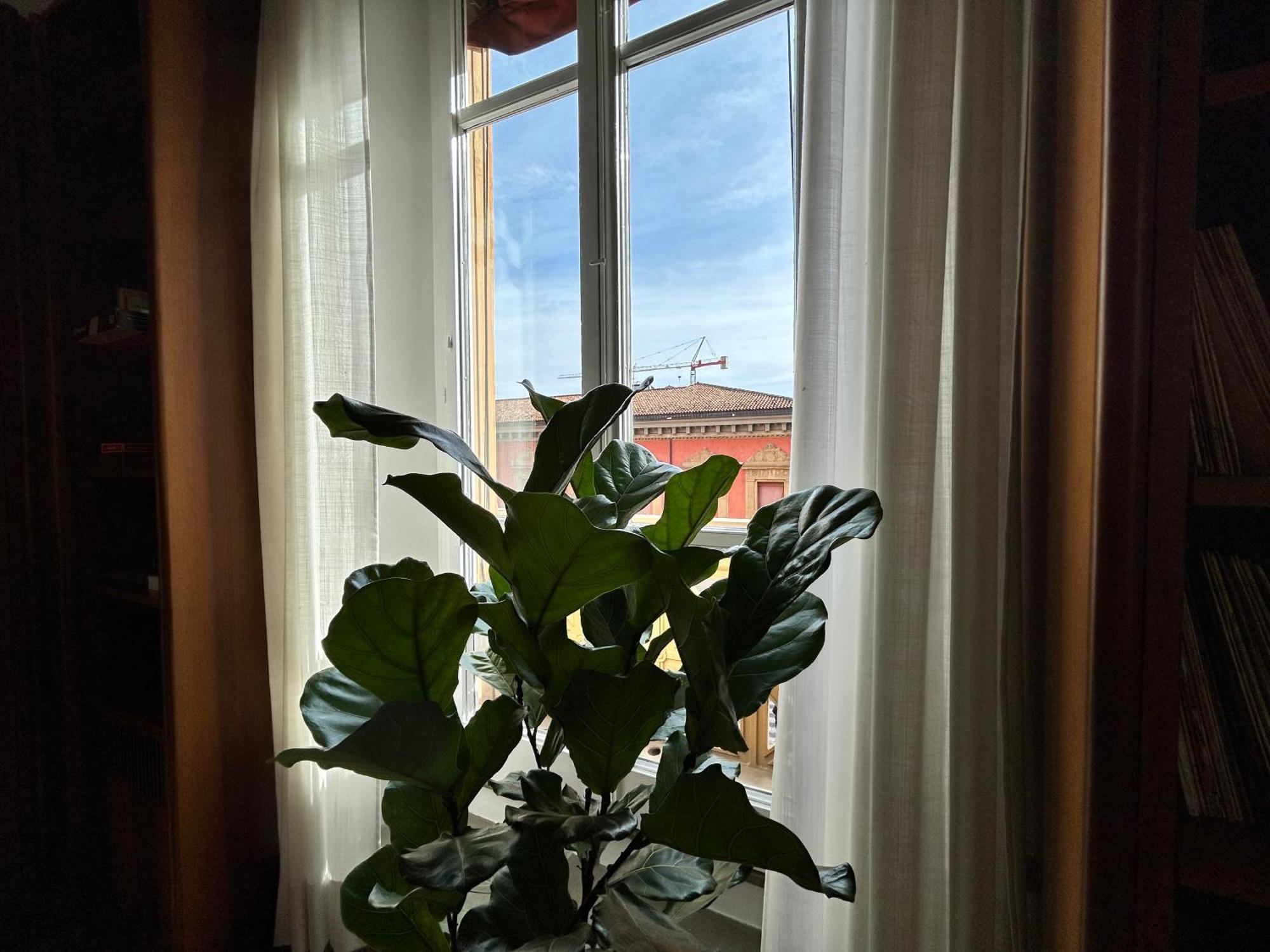 Frame Bologna Hotel Eksteriør billede
